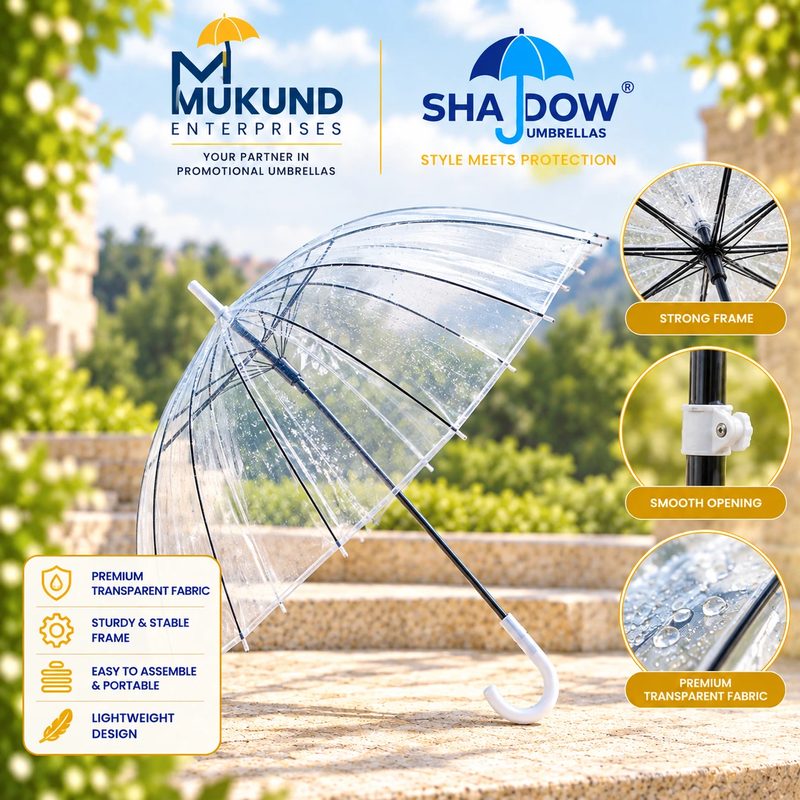 Transparent Umbrella